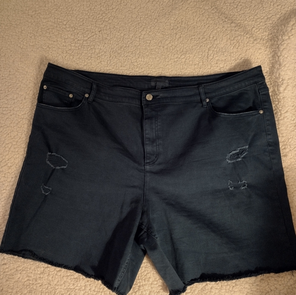 NWOT SIZE 22W. CANDACE CAMERON BURE'.    Distressed Teal Green Shorts